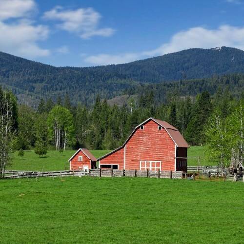 feed_ranch_supplies