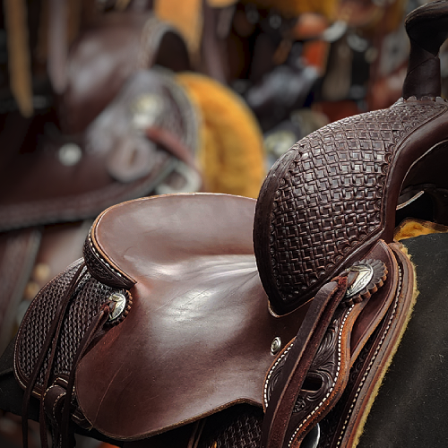 saddles